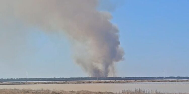 Zjarri i madh shërben për të shkrumbuar pyllin me pisha afër lagunës së Nartës