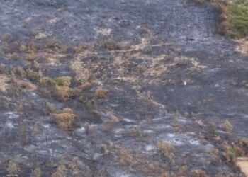 Zjarri i shkaktuar nga një grup kriminal/ Shiu nuk mjafton! Flakët rikthehen në Finiq, rrezikojnë shtëpitë.