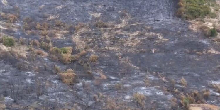 Zjarri i shkaktuar nga një grup kriminal/ Shiu nuk mjafton! Flakët rikthehen në Finiq, rrezikojnë shtëpitë.