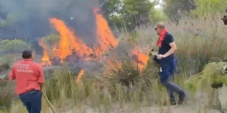 Zjarri në Akërni të Vlorës vazhdon të jetë aktiv, me ndërhyrje nga ajri dhe toka.