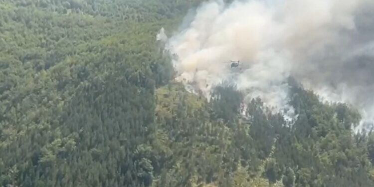 Zjarri në Fushë Arrëz: Ndërhyrja ajrore përmirëson situatën, por vazhdojnë të jenë aktive vatra të tjera.