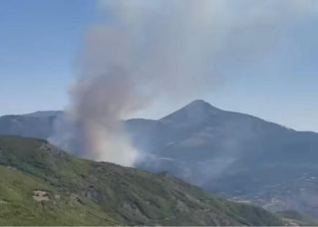 Zjarri në Gramsh po përhapet shpejt! Autoritetet këshillojnë banorët, pritet ndërhyrje ajrore.