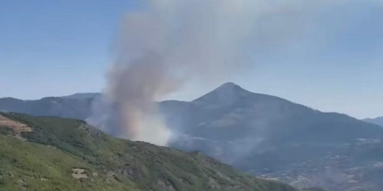 Zjarri në Gramsh po përhapet shpejt! Autoritetet këshillojnë banorët, pritet ndërhyrje ajrore.