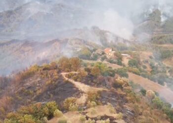 Zjarri në Gramsh, rreth 40 shtëpi të dëmtuara nga flakët! Banorët evakuuar dhe shqetësime për zjarrfikjen e re.