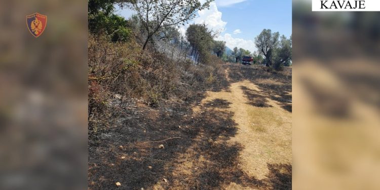 Zjarri në Kavajë pas përpjekjes për të djegur mbeturinat, dy të moshuar në rrezik.