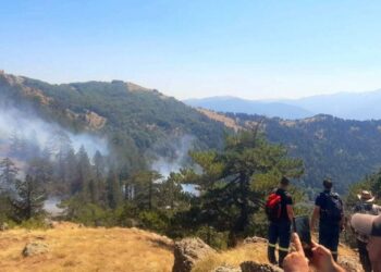 Zjarri në Parkun Natyror të Gërmenjes përpara kufirit me Greqinë, ekipi i emergjencës krijon një rrugë në pyll për automjetet e zjarrfikësve.