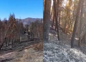 Zjarri në Poliçan, i vihet nën kontroll; banesat tani nuk janë më në rrezik.