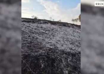 Zjarri në Rrogozhinë/ Autori i dyshuar identifikohet dhe arrestohet, flakët dalin jashtë kontrolli.