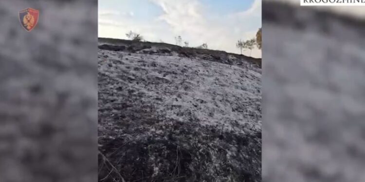 Zjarri në Rrogozhinë/ Autori i dyshuar identifikohet dhe arrestohet, flakët dalin jashtë kontrolli.