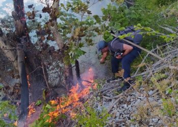 Zjarri në Skërficë shpërthen sërish