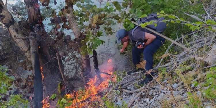 Zjarri në Skërficë shpërthen sërish