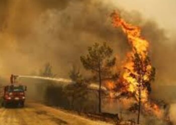 Zjarri në Turqi, evakuohen 7 fshatra!