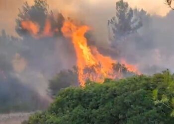 Zjarri në Vlorë përshkallëzohet, ndërhyjnë katër helikopterë për shuarjen e flakëve