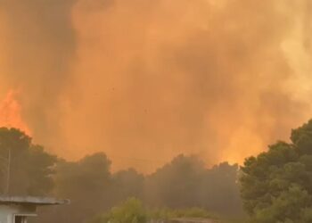Zjarri në pyllin e Poros, situata jashtë kontrollit! Flakët po shkatërrojnë zona të mëdha pyjore.