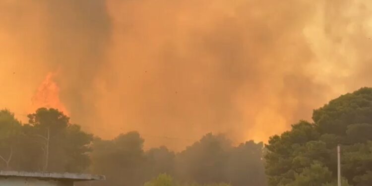 Zjarri në pyllin e Poros, situata jashtë kontrollit! Flakët po shkatërrojnë zona të mëdha pyjore.