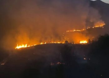 Zjarri në pyllin pranë uzinës së Poliçanit: Autori i incidentit identifikohet 
Specialistët e Seksionit për Hetimin e Krimeve në Stacionin e Policisë Poliçan kanë referuar materialet në Prokurori, ku është nisur një procedim ë gjendje të lirë ndaj shtetasit M. S., 63 vjeç, banues në Poliçan, i cili ka probleme të shëndetit mendor. Ai dyshohet se ka ndezur zjarr në territorin e Kombinatit Mekanik në Poliçan, duke rrezikuar magazinat me lëndë plasëse.