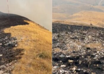 Zjarri pranë Lazaratit, zjarrfikësit dhe banorët ndihmuan për të izoluar vatrat që kanosen shtëpitë.