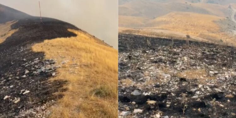 Zjarri pranë Lazaratit, zjarrfikësit dhe banorët ndihmuan për të izoluar vatrat që kanosen shtëpitë.