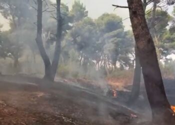 Zjarri pranë lagunës së Nartës vazhdon, dy helikopterë angazhohen për të mbajtur situatën nën kontroll.
