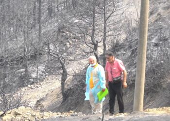 Zjarri shkrumboi pyjet e Gramshit! Të gjitha flakët janë shuar, banorët rikthehen në shtëpitë e tyre.