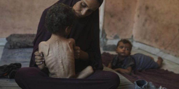 Zyrtarja e Komisionit Europian: Kriza në Gazë “e ngjan shumë” me një gjenocid