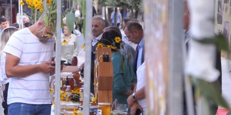 10,000 koshere: Bletërritësit e Librazhdit prodhojnë sasinë më të madhe të mjaltit në Shqipëri