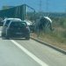 Aksident në autostradën Fier-Vlorë, automjeti përmbyset në rrugë.