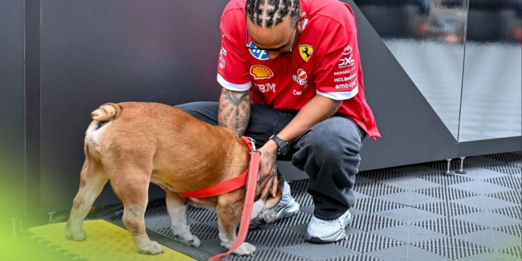 “Anëtari” i familjes Hamilton në koma, piloti britanik pezullon menjëherë testet me Ferrarin për të qenë pranë.