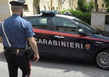 Babai përpiqet të vriste djalin e tij të mitur dhe i vuri flakën shtëpisë, por një qen heroik shpëton jetën e fëmijës.