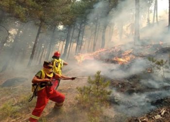 Bilanci i Zjarrit në Skënderbegas: 68 Shtëpi të Shkatërruara, 10 të Plota dhe 215 Kafshë të Vdekur.