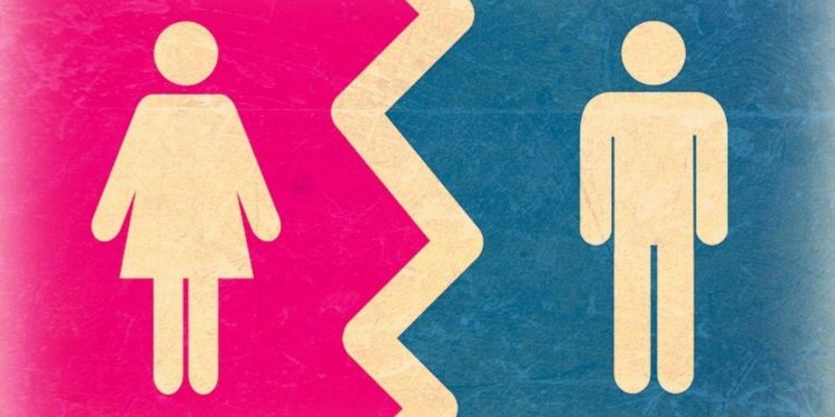 Diskutimi mbi ligjin e gjinisë / Përkufizim përtej roleve tradicionale, kritikët: Kërcënim për shoqërinë dhe gjuhën shqipe