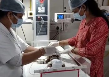 Foshnja 20-ditëshe shpëtohet nga bariu pas varrosjes nga prindërit e saj