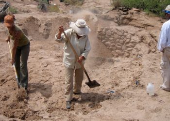 Gërmimet në Turqi zbulon mbetje elefantësh të lashta 7.7 milionë vjeçare.
