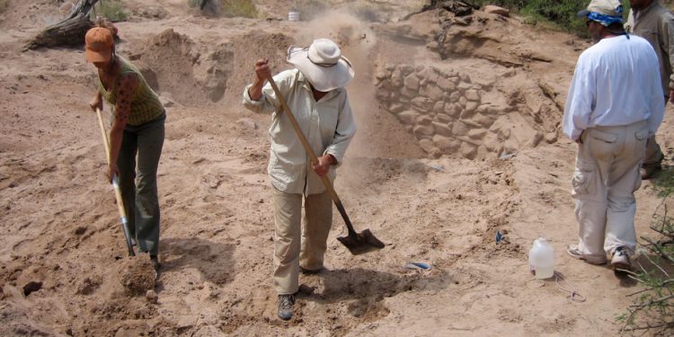 Gërmimet në Turqi zbulon mbetje elefantësh të lashta 7.7 milionë vjeçare.