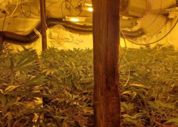 Gjykata britanike jep 40 vite burg për 7 shqiptarë që operonin një rrjet të kultivimit dhe shitjes së kanabisit.