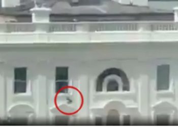 VIDEO/ Një person hedh një objekt nga dritarja e Shtëpisë së Bardhë, pamjet bëhen virale! Përdoruesit e mediave sociale nisin spekulimet