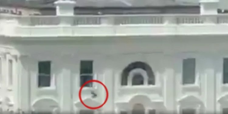 VIDEO/ Një person hedh një objekt nga dritarja e Shtëpisë së Bardhë, pamjet bëhen virale! Përdoruesit e mediave sociale nisin spekulimet