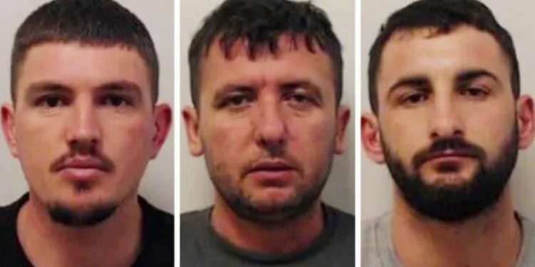 EMRAT/ Ngritën një fabrikë kanabisi në një qendër të vjetër tregtare në Skoci, tre shqiptarët dënohen me burg