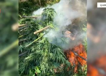 Kanabisi po përparonte në 5 njësi administrative të Shkodrës, kryetarët e fshatrave në vështirësi.