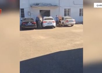 Më shumë se 17,010 bimë kanabis sativa eliminohen, babë e bir arrestohen në Shkodër, ndërsa 6 kryetarë fshatrash përballen me pasojat.