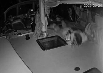 Ministri i Mbrojtjes i Italisë condemnon sulmin me dron mbi anijet humanitare në Gaza.