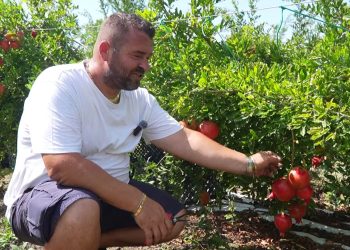 Mrekullitë e Shegës: Historia e një emigranti nga Luzi i Vogël që ndihmon tregun europian me produkte bio