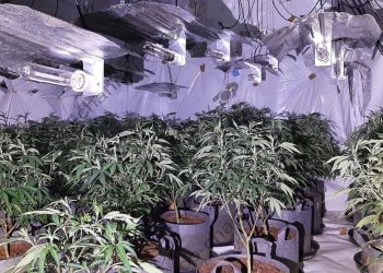 Operacioni i Agjencisë Britanike të Krimeve zbulohet, duke goditur shtëpitë e barit të djemve të Birmingamit. Gjatë kontrollit gjenden edhe dy kilogramë kokainë.