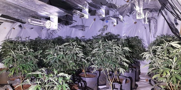 Operacioni i Agjencisë Britanike të Krimeve zbulohet, duke goditur shtëpitë e barit të djemve të Birmingamit. Gjatë kontrollit gjenden edhe dy kilogramë kokainë.