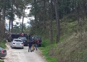 Puna e një çobani në Greqi, zbulohet i pajetë 60-vjeçari.