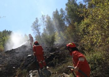 Shpërblim për zjarrfikësit që luftuan me flakët! Qeveria merr vendimin: 1 deri në 3 paga mujore për anëtarët e Forcave të Armatosura, Policinë e Shtetit, Mbrojtjen Civile dhe shërbimet zjarrfikëse.