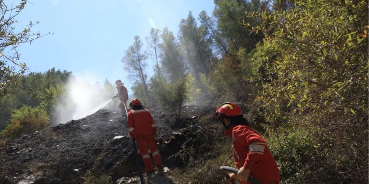 Shpërblim për zjarrfikësit që luftuan me flakët! Qeveria merr vendimin: 1 deri në 3 paga mujore për anëtarët e Forcave të Armatosura, Policinë e Shtetit, Mbrojtjen Civile dhe shërbimet zjarrfikëse.