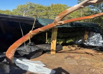 VIDEO/ Zbulohet 1.1 ton marihuanë dhe armë në Greqi, arrestohen 6 shqiptarë. Të fshehur në qese të zeza.