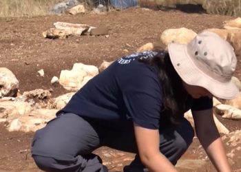 Zbulime të reja në Antigone: Arkeologët njoftojnë për gjetje të strukturave dhe një banesë.