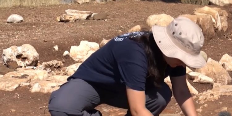 Zbulime të reja në Antigone: Arkeologët njoftojnë për gjetje të strukturave dhe një banesë.